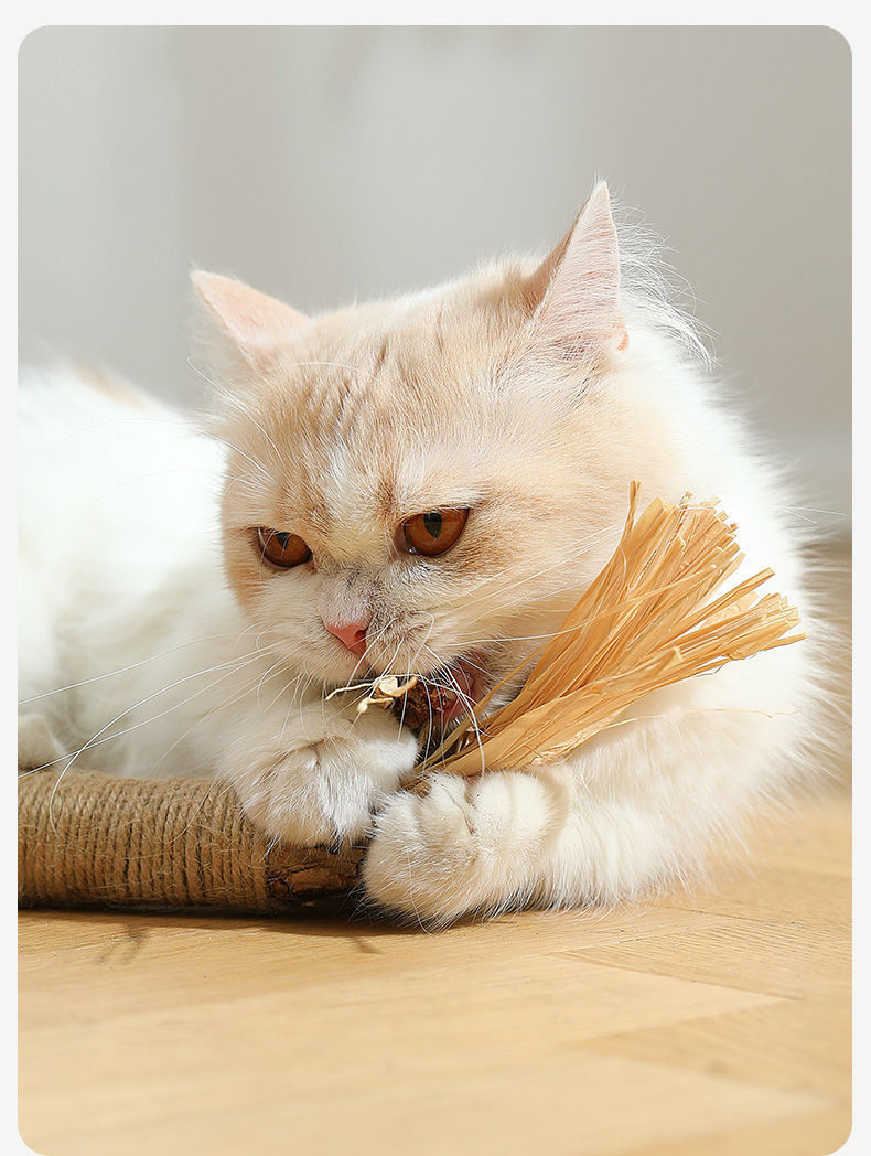 Mu Tianmiao Molar Rod Cat Self-Hi Artifact Consume Physical Strength Catnip Relieving Stuffy Bite-resistant Pet Supplies