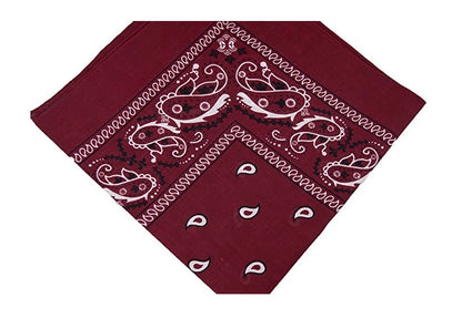 Cashew Flower Paisley Hip Hop Square Scarf