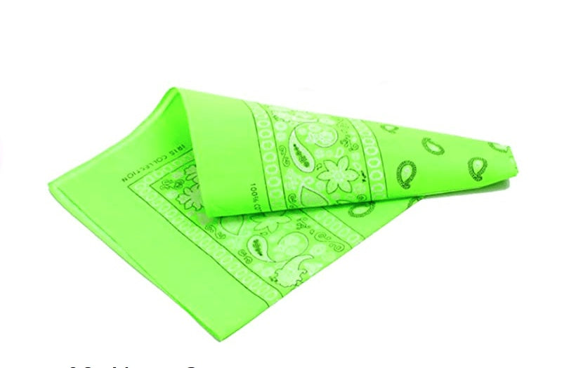 Cashew Flower Paisley Hip Hop Square Scarf