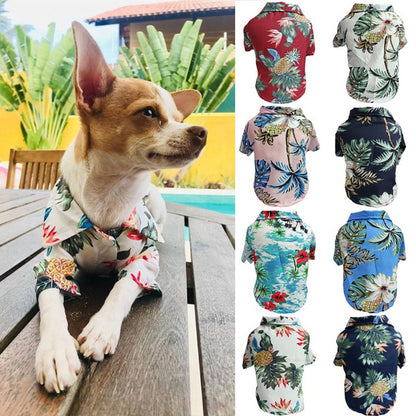 Dog Spring And Summer Thin Shirt Corgi Blue Cat Clothes